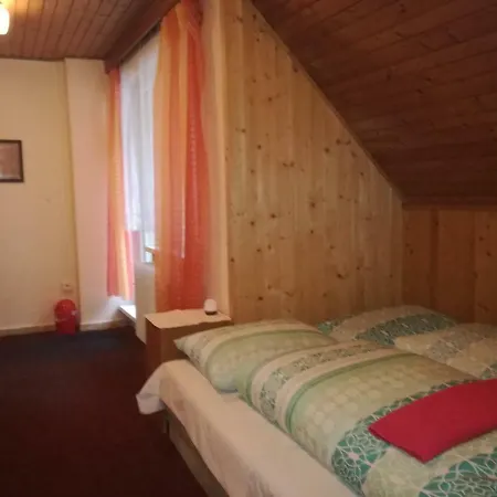 Guest house Radovica Maluzina